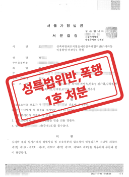 성특법 위반 사건 1호 처분 판결문 사례 2